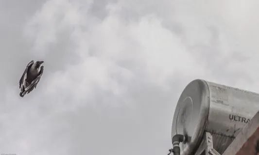 云-天空，天空，低角度视图，自然，无人，白天，户外，飞行