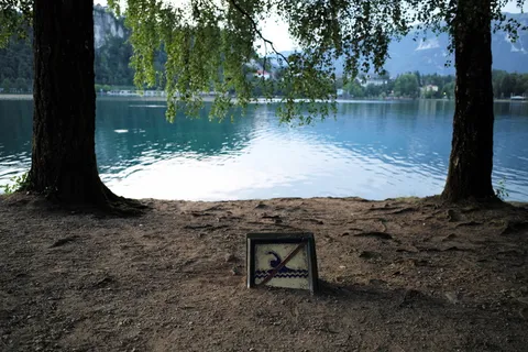 湖,没有游泳,水,游泳,危险,自然,树,植物 湖,没有游泳,水,游泳,危险,自然,树,植物