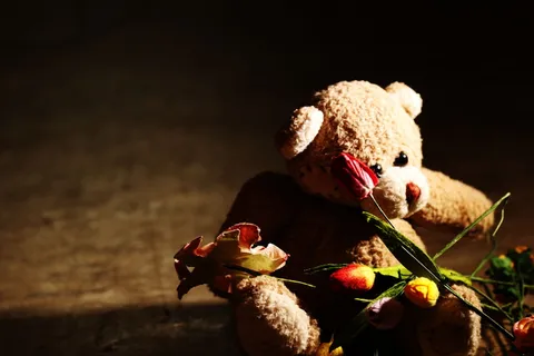 泰迪熊、花朵、微型、玩具、毛绒、无人、夜晚、特写 泰迪熊、花朵、微型、玩具、毛绒、无人、夜晚、特写