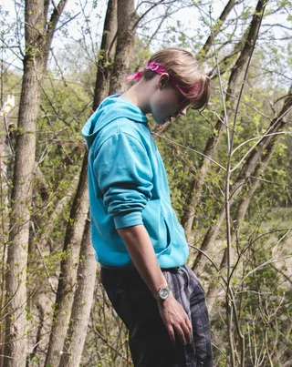 加拿大，uxbridge，户外，森林，小溪，绿色，自然，树木