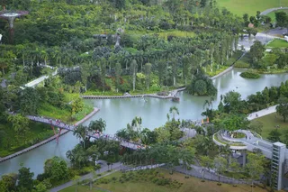 新加坡，亚洲，景观，海湾，河流，户外，旅游，植物