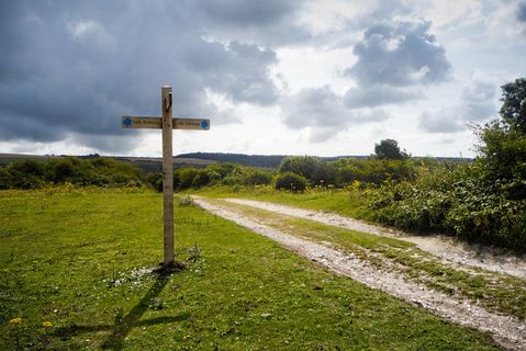 草，自然，天空，路标，户外，云天，宗教，植物