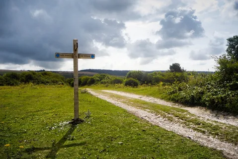 草,自然,天空,路标,户外,云天,宗教,植物 草,自然,天空,路标,户外,云天,宗教,植物