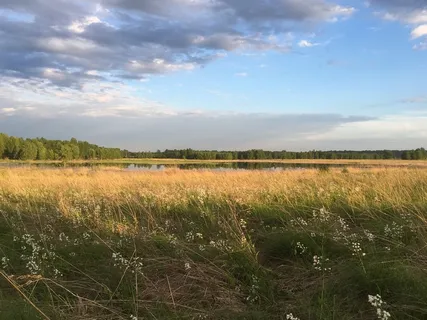黄昏,池塘,风景,日落,天空,黄昏,傍晚,夏天 黄昏,池塘,风景,日落,天空,黄昏,傍晚,夏天