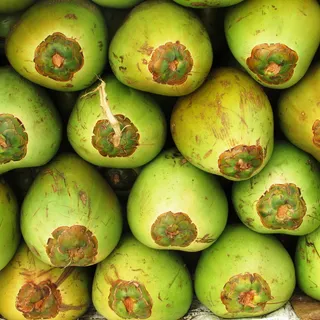 椰子，水果，椰子，绿色，种子，核果，热带，异国情调