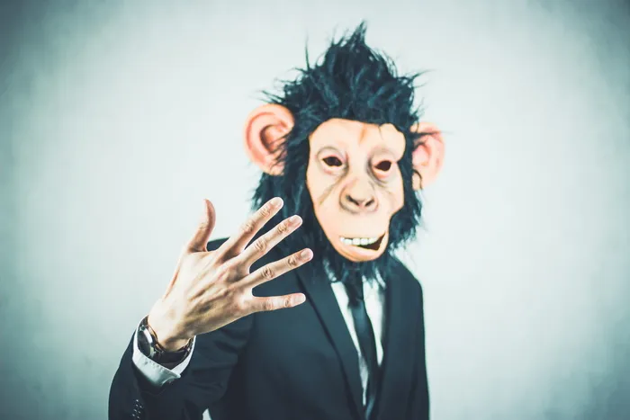 monkey，应用程序，培训，业务，肖像，启动，启动，演示