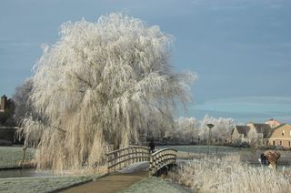 天气、冬天、雪、一月、霜冻、天空、建筑结构、自然