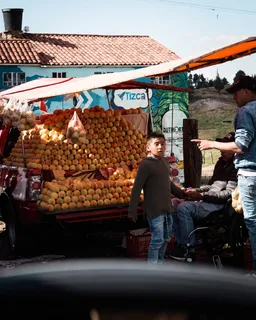 人，人，植物，食物，水果，农产品，柑橘类水果，葡萄柚