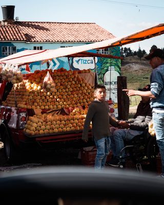 人，人，植物，食物，水果，农产品，柑橘类水果，葡萄柚