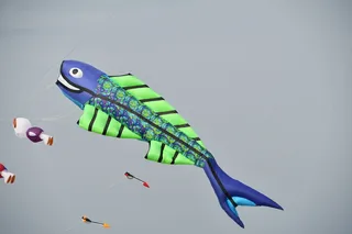 比赛，风筝，动物表现，表现，没有人，天空，天，自然