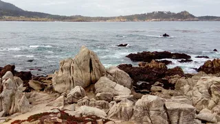 加州，旧金山，墙纸，背景图片，海滩，阳光明媚，已经，田园诗