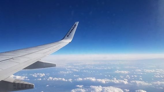 天空，苍蝇，蓝色，飞机，飞行器，飞行，云天，飞机机翼