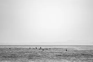 灰度照片，人物，海滩，航空，照片，海洋，冲浪者，海洋