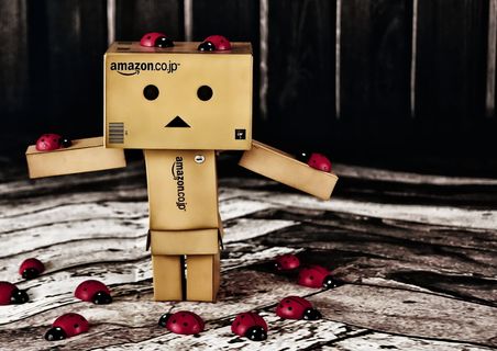 danbo，figure，danboard，瓢虫，luck，可爱，玩具，搞笑