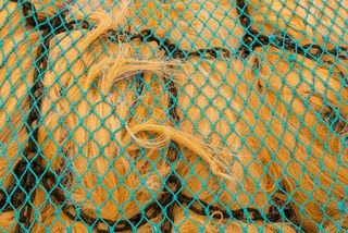 网，钓鱼，绳子，颜色，渔夫，海，全框架，背景