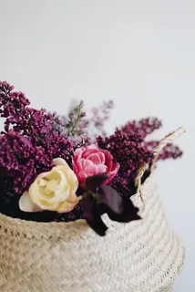 植物,花朵,花朵,插花,花束,玫瑰,丁香,花卉 植物,花朵,花朵,插花,花束,玫瑰,丁香,花卉