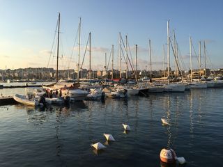 日落，taxibiexi，马耳他，水，航海船，运输，运输方式，帆船