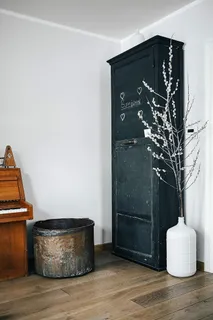 带有柳絮的当代室内设计 带有柳絮的当代室内设计