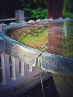 水,滴水,滴水,寺庙,日本,东京,日本,清澈 水,滴水,滴水,寺庙,日本,东京,日本,清澈