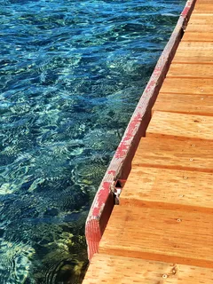 美国，deschutes县，55885 cascade lakes国家风景道，淡水，cultus湖，枯木，老木，doc