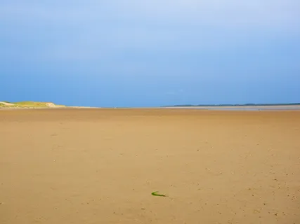 瓦, 瓦登海, 沙, 瓦特徒步旅行, 泥滩徒步旅行, 在瓦登徒步旅行, 岛屿, 瓦特小径 瓦, 瓦登海, 沙, 瓦特徒步旅行, 泥滩徒步旅行, 在瓦登徒步旅行, 岛屿, 瓦特小径