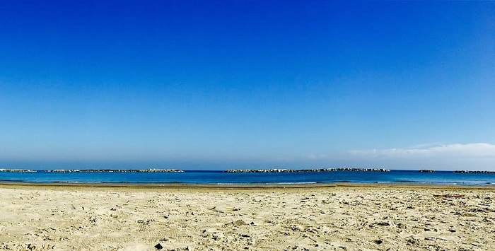 照片，空旷，海滩，白天，风景，摄影，棕色，沙滩