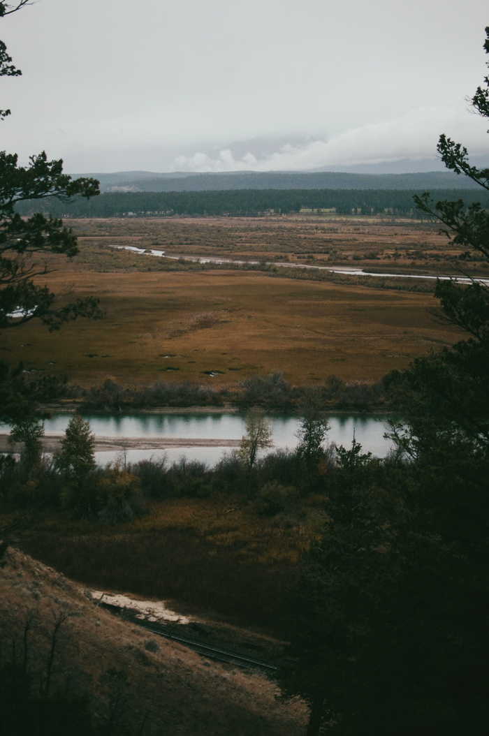 白天穿过山脉的绿色灌木丛之间的河流