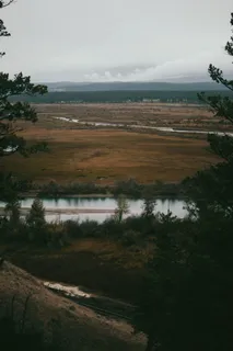 白天穿过山脉的绿色灌木丛之间的河流