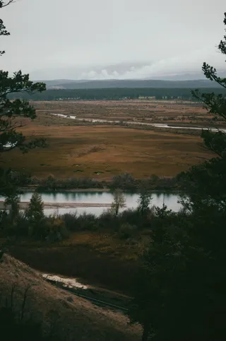 白天穿过山脉的绿色灌木丛之间的河流