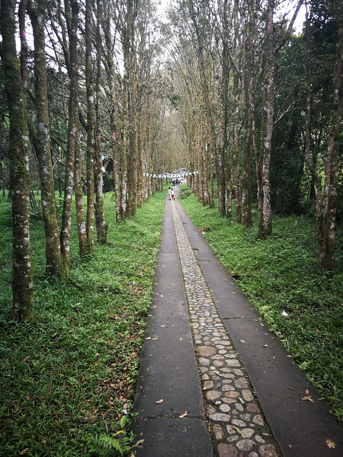 小径，人，小径，乡村道路，步行，山景，古城，历史