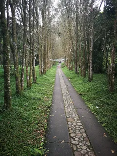 小径,人,小径,乡村道路,步行,山景,古城,历史 小径,人,小径,乡村道路,步行,山景,古城,历史
