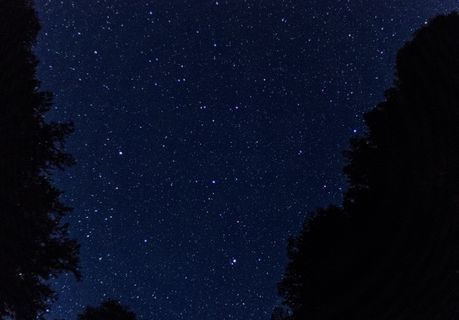 美国，矿物王，黄昏，黄昏，树木，曝光，星星，慢快门