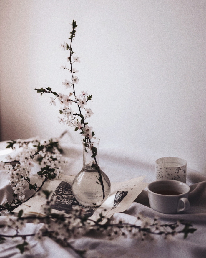 陶器，花瓶，坛子，碟子，插花，植物，插花，艺术