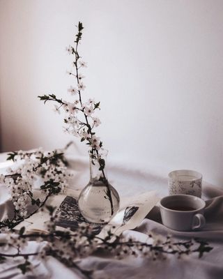 陶器，花瓶，坛子，碟子，插花，植物，插花，艺术