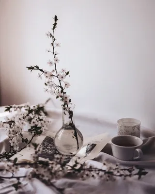 陶器，花瓶，坛子，碟子，插花，植物，插花，艺术