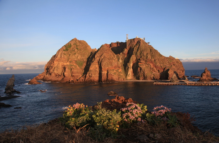 独岛, 韩国, 我们的领土, 庆尚北道, 美丽的岛屿, 19, 海鸥, 独岛海豹