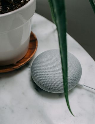 在白色表面的花盆附近粉笔 Google Home Mini 扬声器