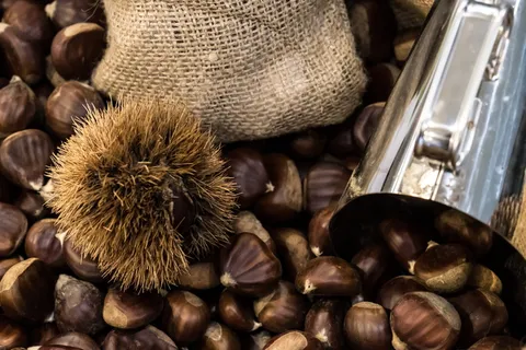 栗子、秋天、寒冷、家庭、舒适、家、商店、食物