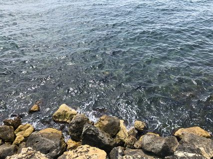 海，康斯坦塔，罗马尼亚，黑海，岩石，固体，水，岩石-物体