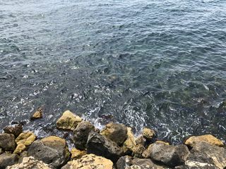 海，康斯坦塔，罗马尼亚，黑海，岩石，固体，水，岩石-物体