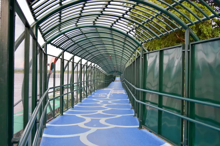 自行车，自行车道，自行车，户外，自行车，骑行，前进之路