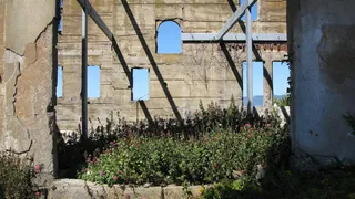 恶魔, 废墟, 旧金山, 建筑结构, 架构, 植物, 建筑外观, 增长