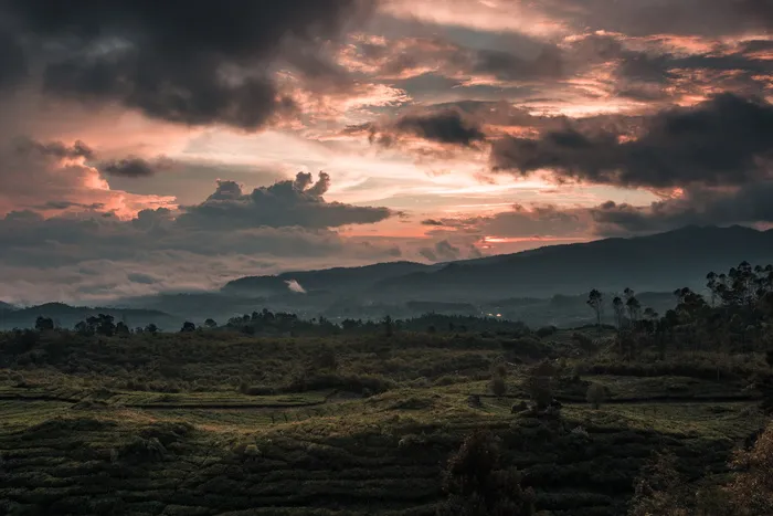 自然，户外，日落，天空，红色天空，黎明，黄昏，云
