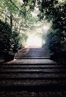 西班牙，la granja de san ildefonso，calle botica，绿色，颜色，楼梯，向上，出口