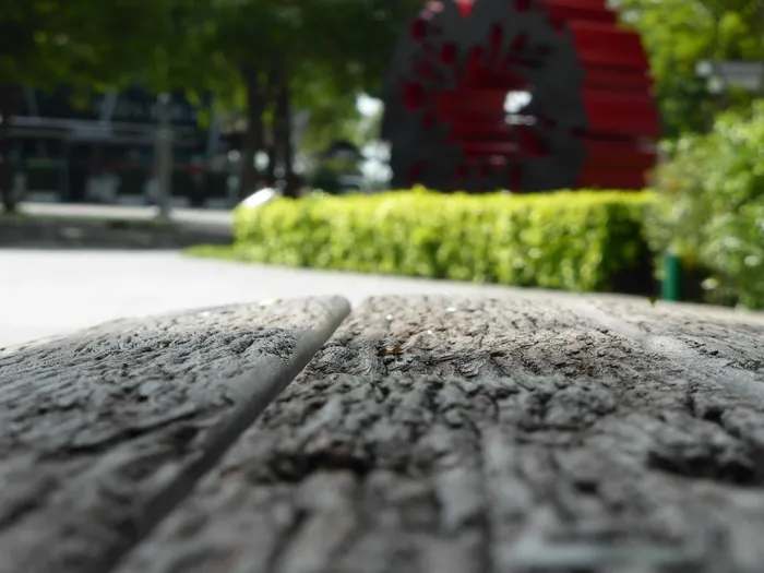 新加坡、滨海湾金融中心、对冲、公园、花园、宏观、对冲、木材