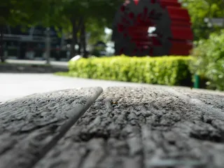 新加坡、滨海湾金融中心、对冲、公园、花园、宏观、对冲、木材