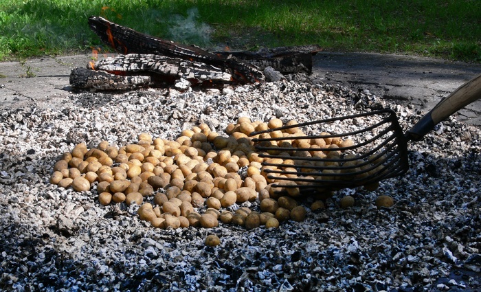 土豆火，土豆烤，余烬，吃，喝，秋天，土豆，传统