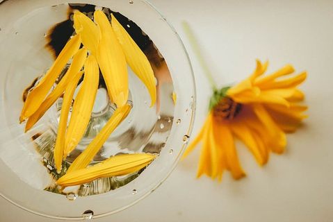 透明玻璃杯上的黄色花朵