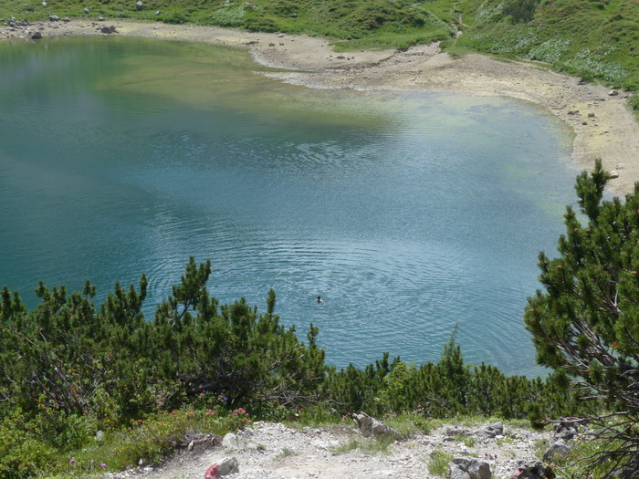 水池，小湖，柏格西，游泳，湖，高山湖，水，清澈