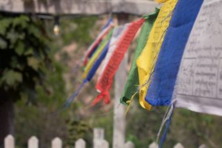 风、瑜伽、放松、锻炼、生活方式、健康、冥想、平衡